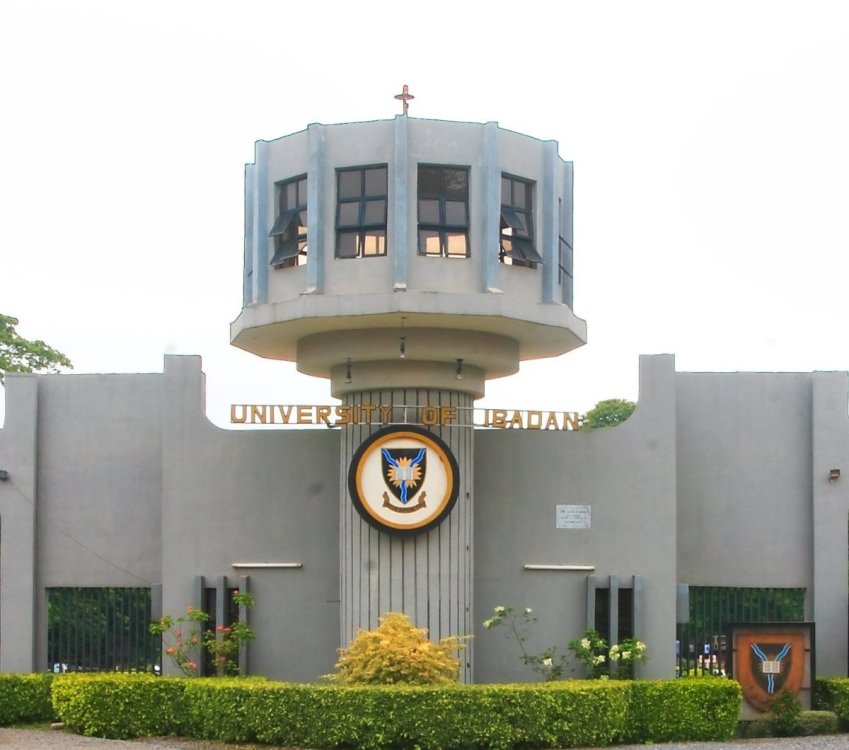 univerisyt.jpeg